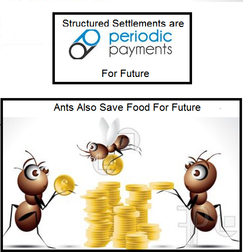 settlements vs ants
